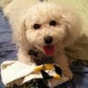 Meet your Posher, Carrie